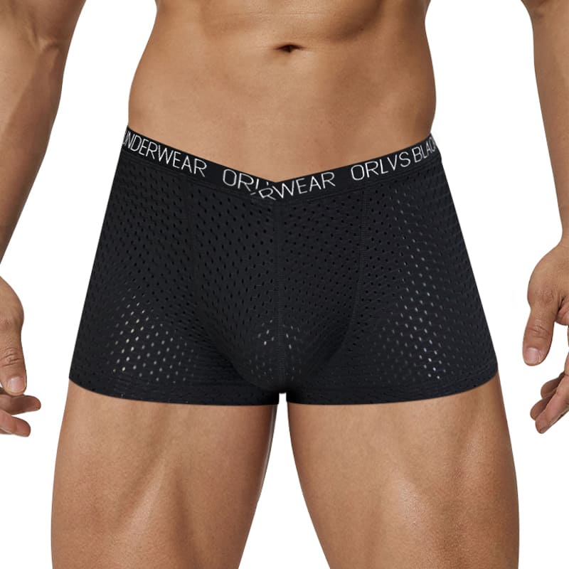 ORLVS Men's Breathable Ice Silk Mesh Briefs | The Mesh Lab Contrast Stitched Low Rise Underwear