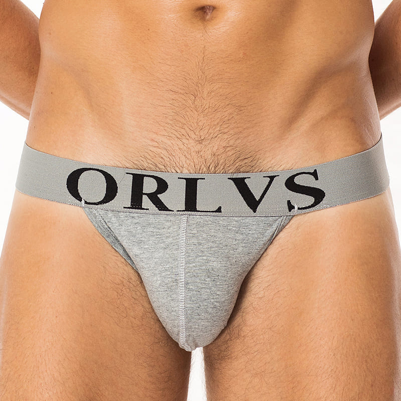 ORLVS Men's Premium Low Rise Briefs | Luxury Metallic Logo Waistband Underwear with Cotton Pouch